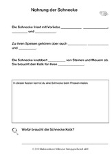 Nahrung der Schnecken.pdf